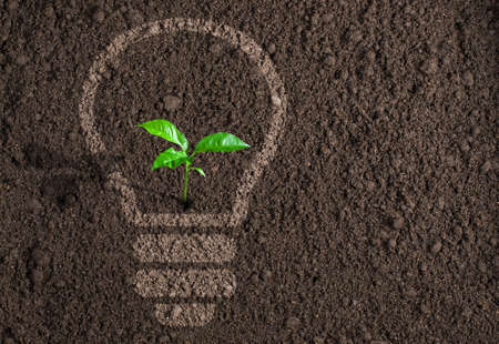 Green plant in light bulb silhouette on soil backgroundの写真素材