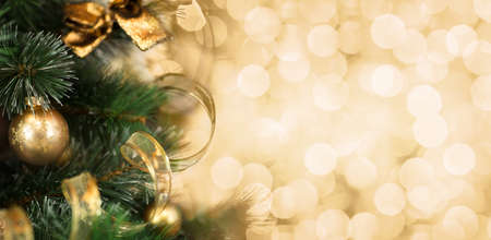 Christmas tree branch with blurred golden backgroundの写真素材