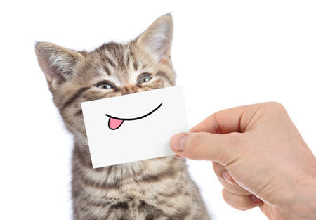 cat with funny tongue smile isolated on whiteの写真素材