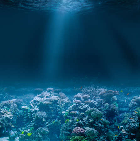 Sea or ocean seabed with coral reef