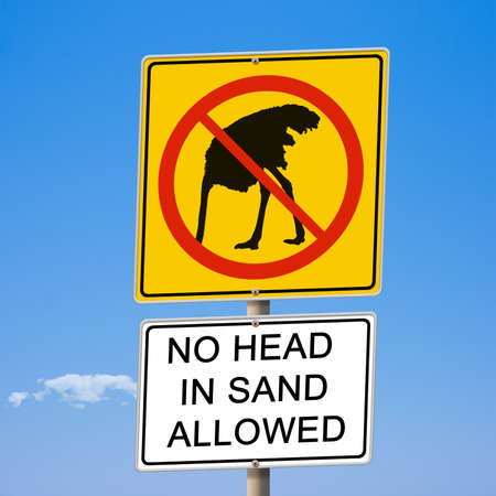 No head in sand allowed ostrich road sign 3d illustrationの写真素材