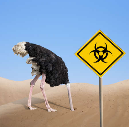 scared ostrich with head in sand near warning quarantine bio hazard signboard.の写真素材