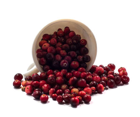 white mug and spilled on the table cranberries