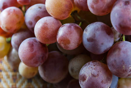 Perfect bunch of grapes on a white background. Isolatedの写真素材