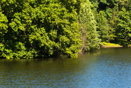 lake with trees growing above the waterの写真素材