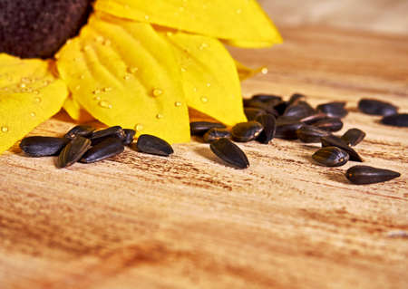 sunflowers and scattered sunflower seeds on wooden backgroundの写真素材