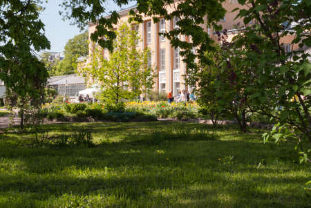 Saint Petersburg, Russia - June 05, 2016: Alley in Park Summer Garden. 05 June 2016 in Saint Petersburg, Russiaのeditorial素材