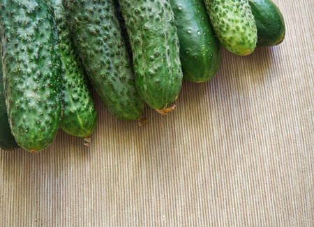 green cucumbers from the gardenの写真素材