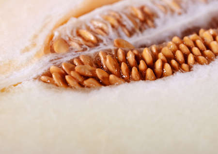 Close-up half of a ripe melon.の写真素材