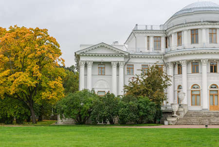 Flying tree and ancient buildingのeditorial素材