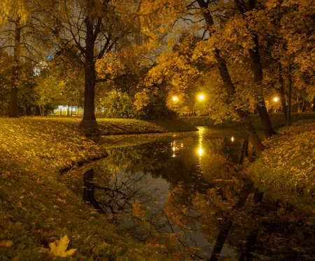 Park at night. Flooded riverの写真素材