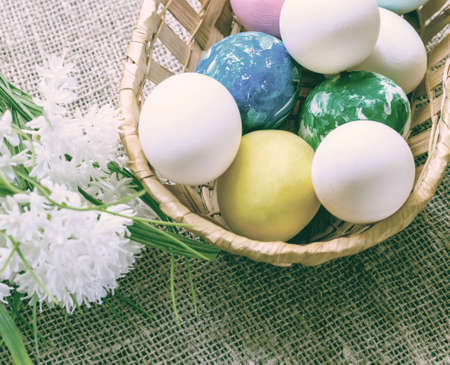 Easter eggs in a wicker basket and white flowers on a canvas background. Toned imageの写真素材