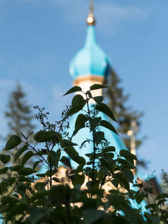 Belfry of the Gethsemane monastery behind the treesの写真素材