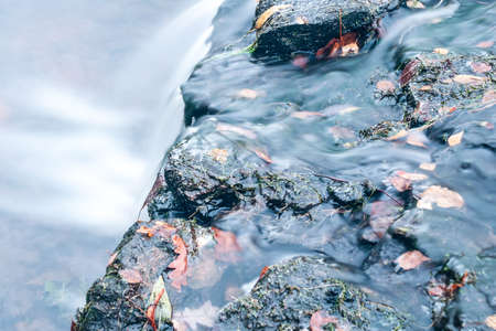 Forest stream running over mossy rocksの写真素材