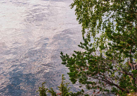 The branches on the trees hanging over the rocky bank of the riverの写真素材