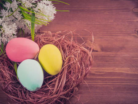 Easter eggs, placed in a nest and white spring flowers, close-upの写真素材