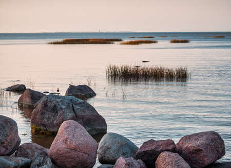 Red granite boulders on the lake.の写真素材