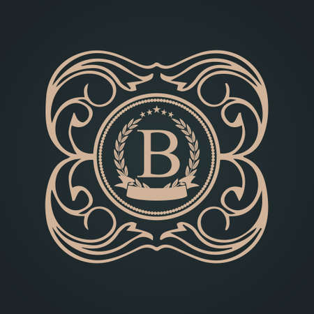 Monogram letter b illustration in black background.のイラスト素材
