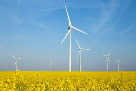 A group of wind generators in a yellow rapeseed field and a blue sky on a sunny day