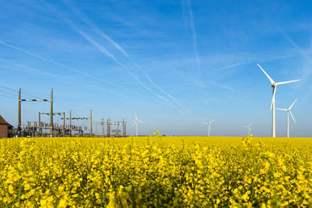 Green power and renewable energy - wind turbine generators and electrical substation in the yellow rapeseed field under the blue skyの写真素材