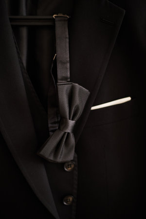 Wedding fashionable men's black suit and tieの写真素材