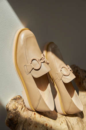 Fashion female loafers  shoes eco-leather spring-summer 2022の写真素材