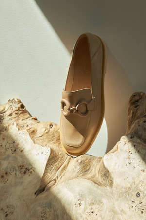 Fashion female loafers  shoes eco-leather spring-summer 2022の写真素材