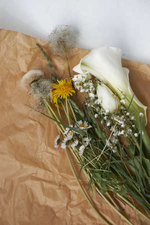 Bouquet daisies chamomile dandelion tulip feces flowers. Aesthetics minimal sunlight concept.の写真素材