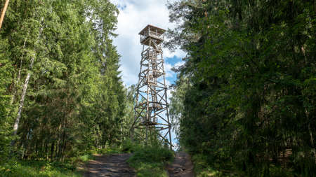 tower in the forestの写真素材