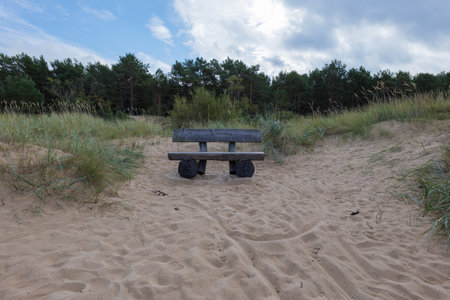 Wooden bench in the sand dunes on the Baltic Sea coastの写真素材