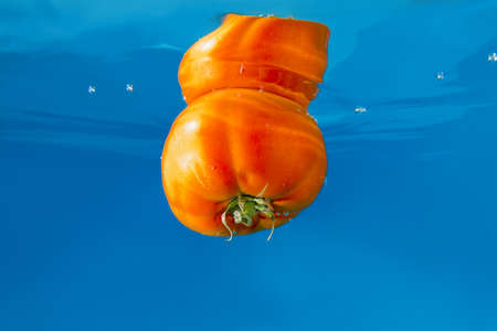 Tomato splashing in blue waterの写真素材