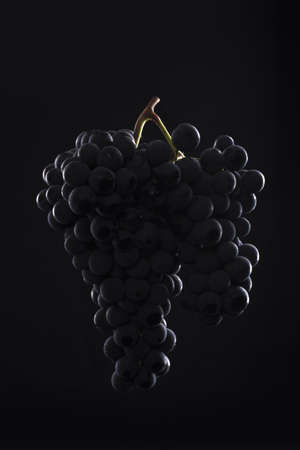 Grapes with black backgroundの写真素材
