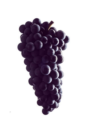 Grapes with white backgroundの写真素材