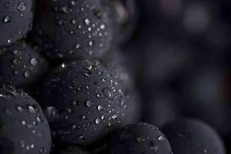 Grapes with black backgroundの写真素材