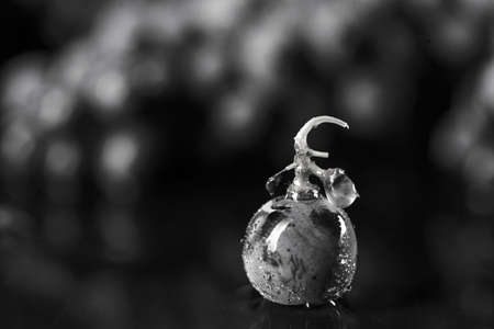 One berry darck grape lies on bunch grapes background isolated on black backgroundの写真素材
