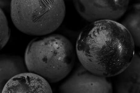 Close up, ripe darck grape berry 