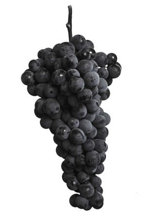 bunch of ripe darck grape isolated on white backgroundの写真素材