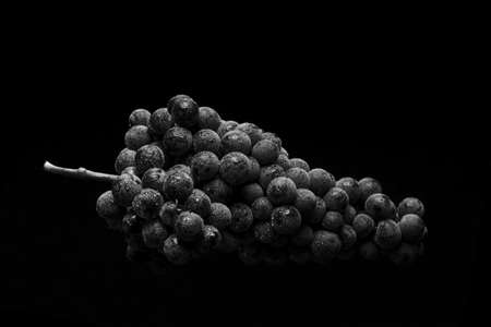 bunch of ripe dark grape with drops of water isolated on black backgroundの写真素材