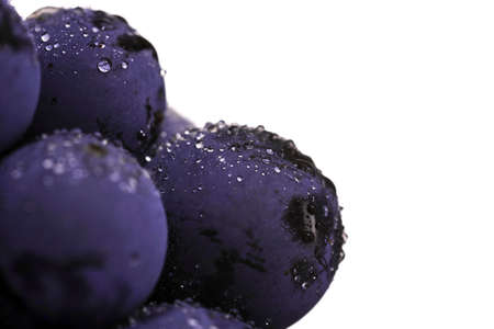 Close up, berries of dark bunch of grape  in low light isolated on white background, water dropsの写真素材