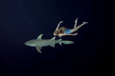 Young beautiful woman swim with shark in the night. Woman dives to Tawny nurse sharks (Nebrius...