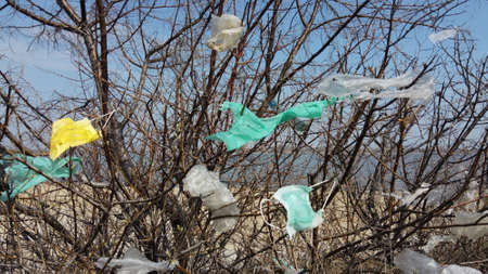Closeup of face masks and plastic debris on branches of trees. Coronavirus (COVID-19) is contributing to pollution, as discarded face masks clutter parks & streets of the city along with plastic trashの写真素材