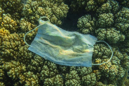 Close-up of used medical face mask lies on corals. Coronavirus COVID-19 is contributing to pollution, as discarded used masks clutter polluting seas and ocean along with plastic trashの写真素材
