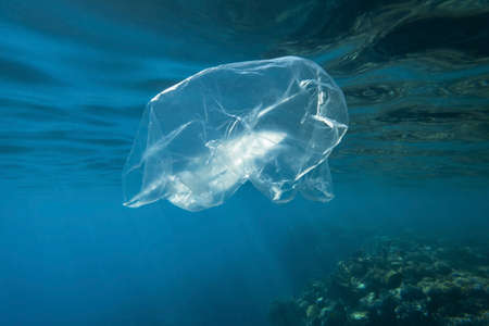 Used transparent plastic bag slowly drifting underwater over coral reef in the sun lights. Plastic...