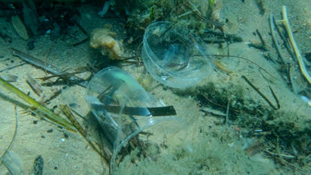 Close-up of plastic cocktail cup lies on the seabed. Plastic debris in the water killing animals. Plastic pollution in Adriatic Sea. Plastic pollution of the Oceanの写真素材