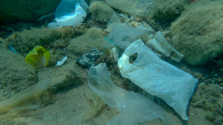 Seabed covered with a lot of plastic garbage. Bottles, bags and other plastic debris on seabed in Adriatic Sea. Plastic pollution of the Ocean. Adriatic seaの写真素材