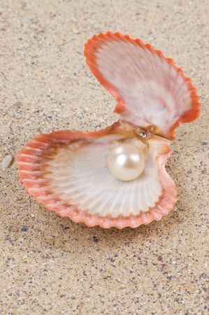 Open shell with pearl inside on the sandの写真素材