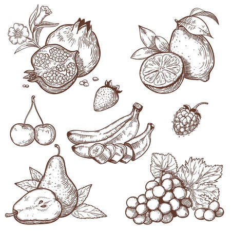 Icons of sweet fruits and berries on a white backgroundのイラスト素材