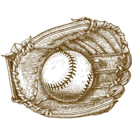 antique engraving illustration of baseball glove and ball isolated on white backgroundのイラスト素材