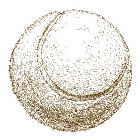 antique engraving illustration of tennis ball isolated on white backgroundのイラスト素材