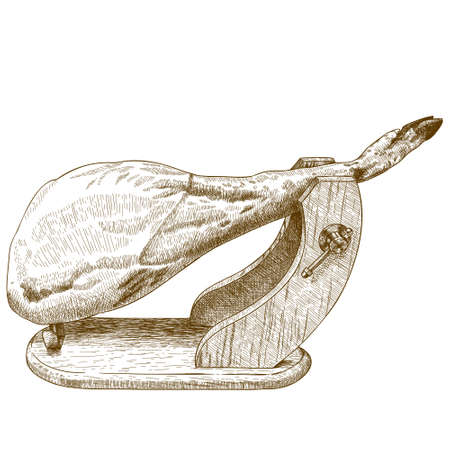Vector antique engraving illustration of jamon serrano isolated on white backgroundのイラスト素材